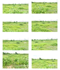 MONIKA FINE ART-250820251